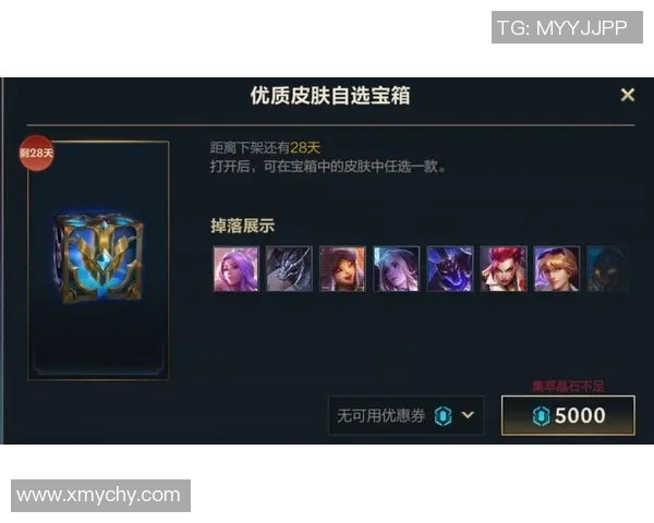 深度对话：李秀英如何在英雄联盟中书写自己的传奇人生